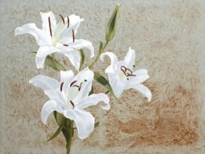 Frank Rosenzweig Lillies