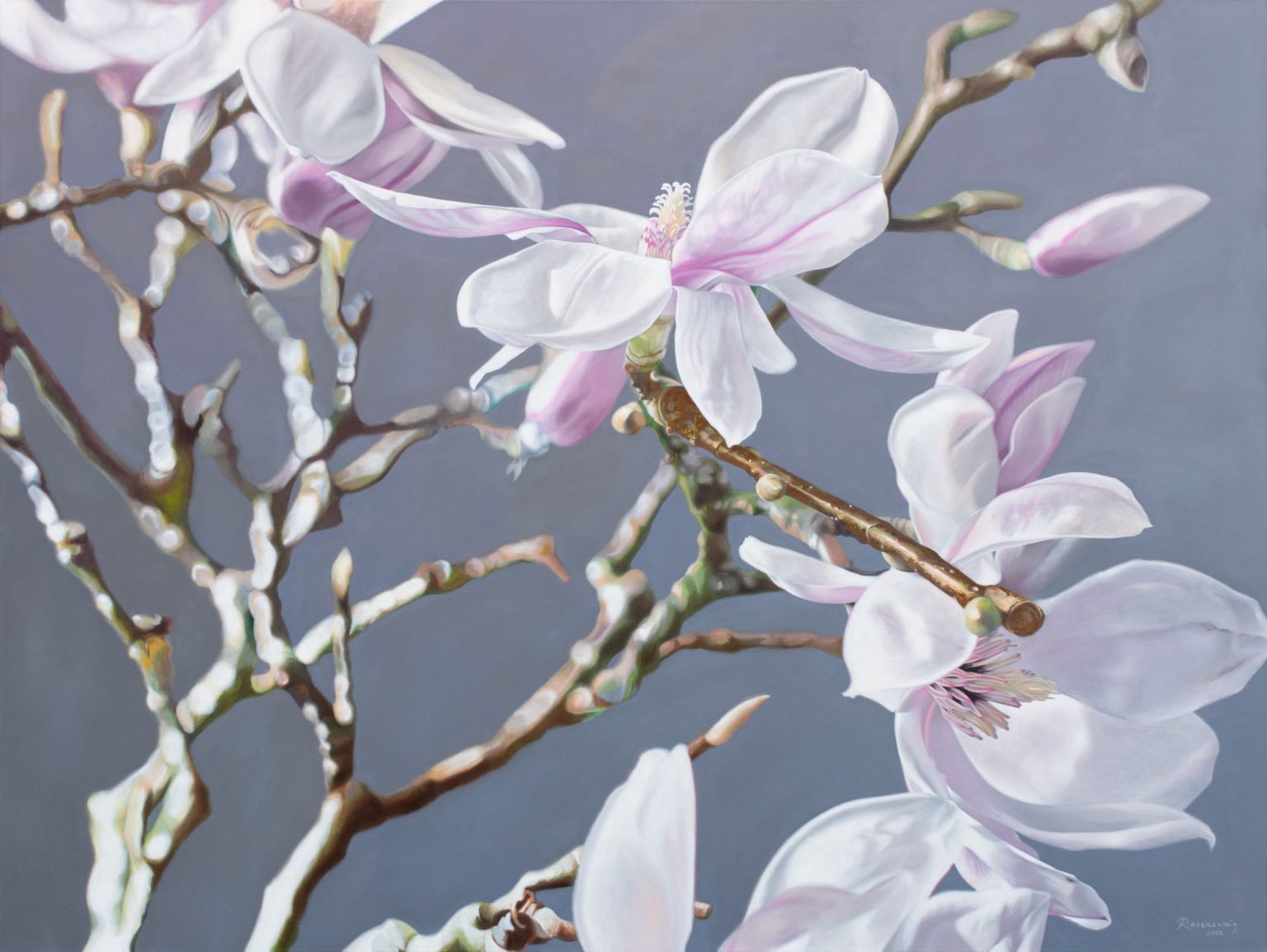 Frank Rosenzweig Magnolien Janssen und Graff