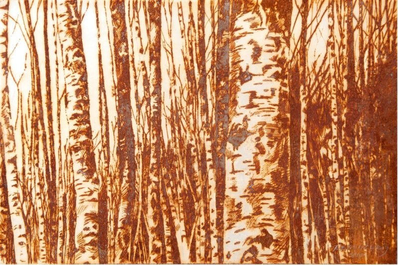 Frank Rosenzweig Kunstwerk Birkenwald Oxygraphie 2014 moderne Kunst Ausstellung