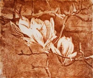 Magnolie-Frank-Rosenzweig-Oxygrapie